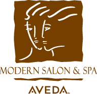 Modern Salon Logo