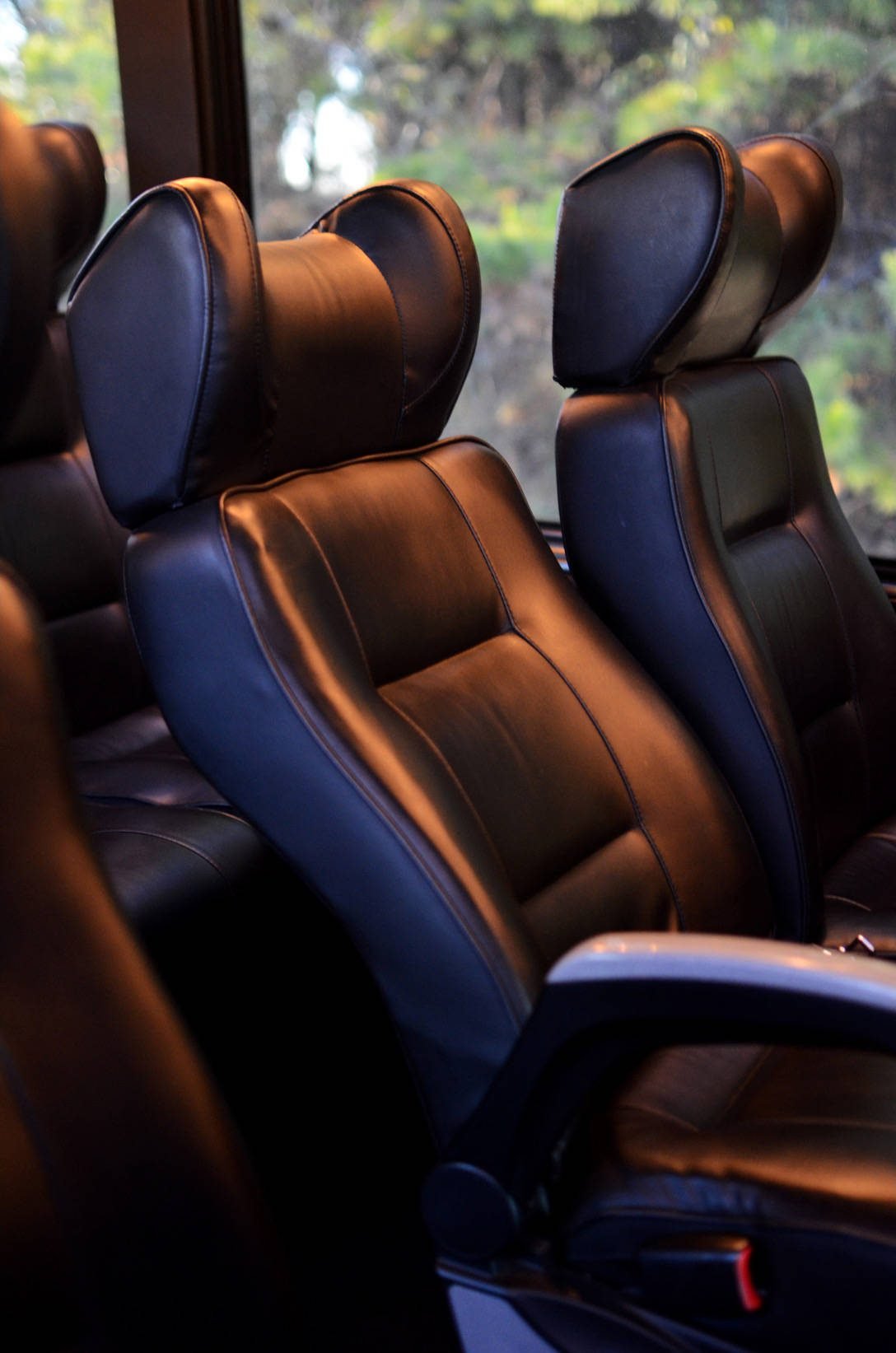 Executive Mini-Bus — Ballantyne Limousine, photo 3 of 6
