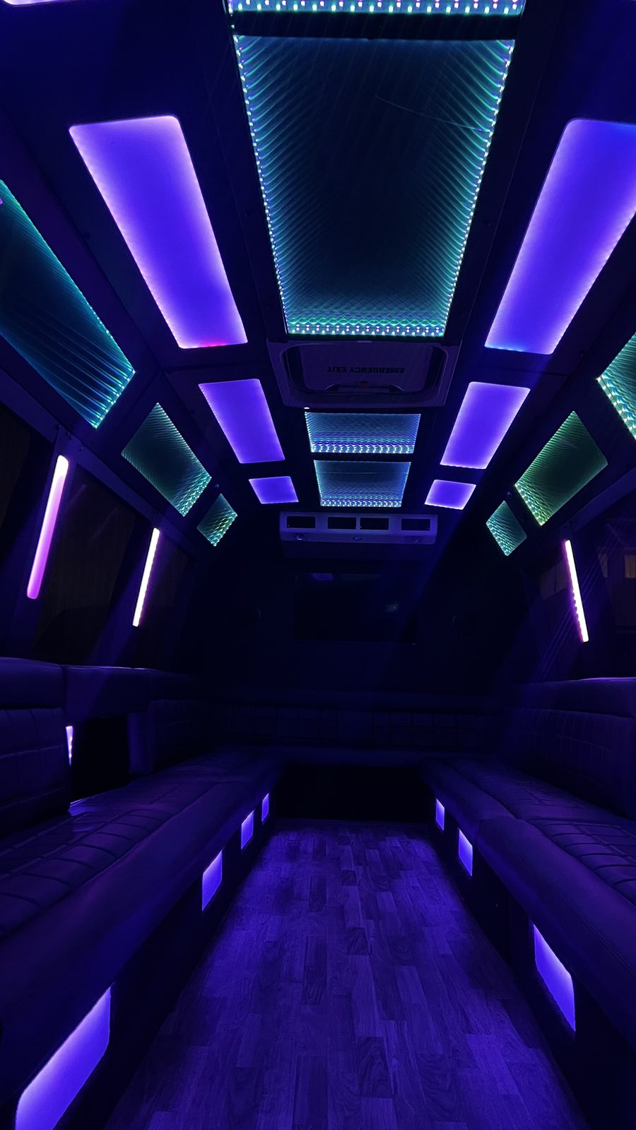Limo Mini Bus — Ballantyne Limousine, photo 3 of 8