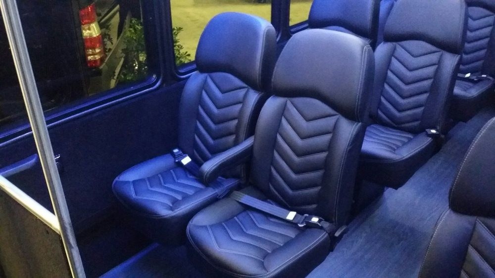 Minibus — Ballantyne Limousine, photo 3 of 4