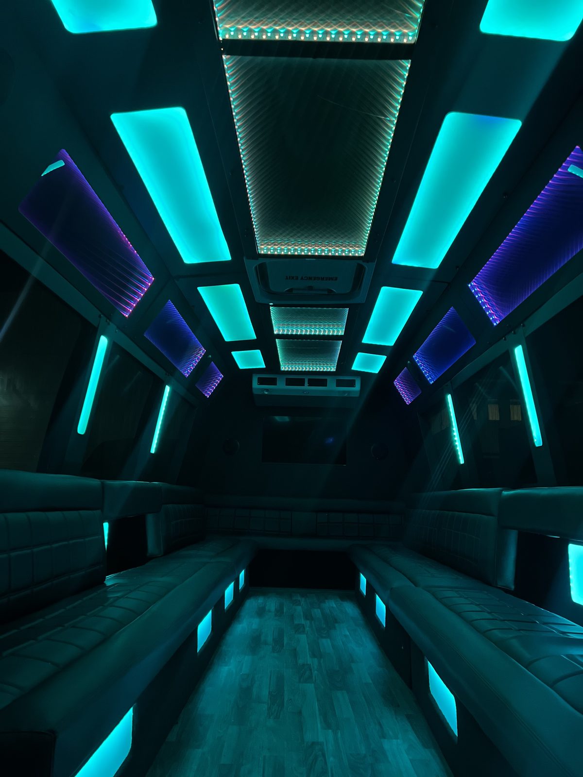 Party Bus & Limo Mini Bus — Ballantyne Limousine, photo 4 of 8