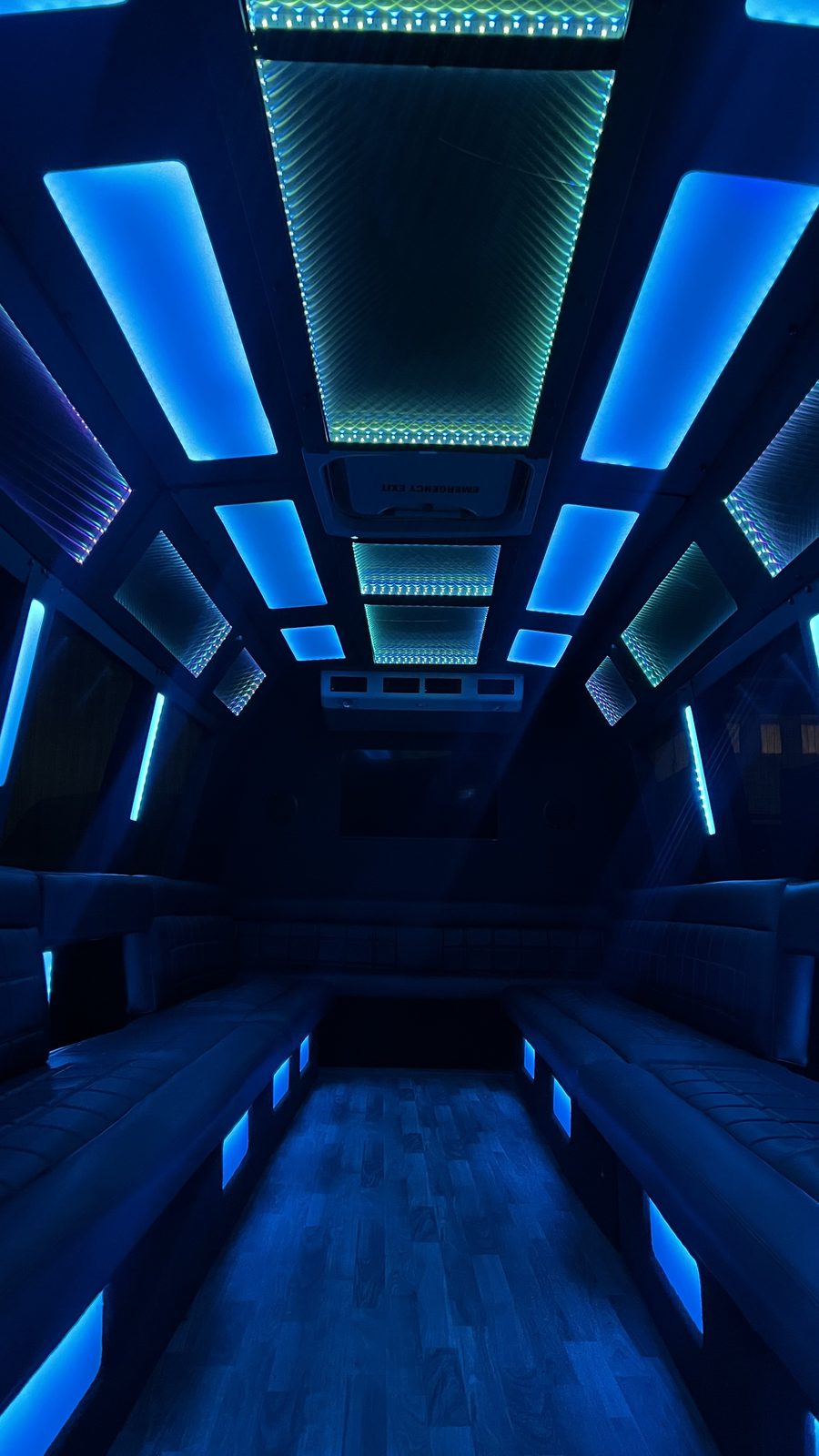 Party Bus & Limo Mini Bus — Ballantyne Limousine, photo 6 of 8