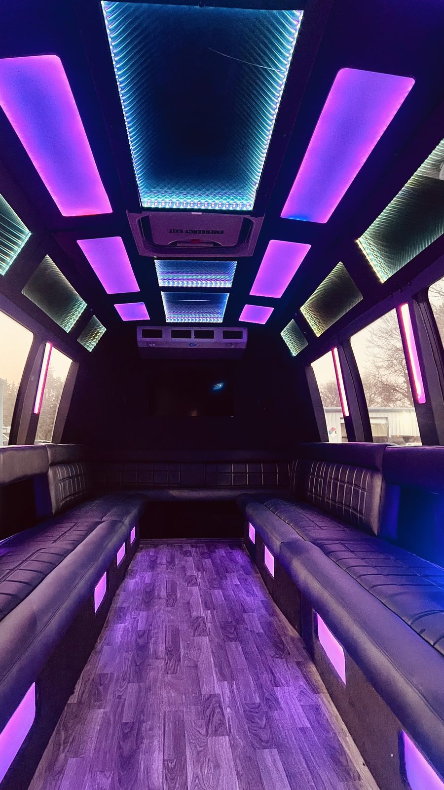 Party Bus & Limo Mini Bus — Ballantyne Limousine, photo 8 of 8
