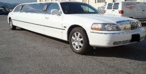 Limo Clt