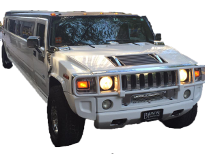Party Limousines