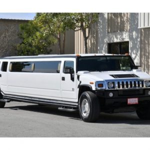 Custom Made Limos