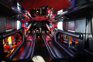 Charlotte limousine service & limo mini bus - limo mini bus interior